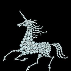 Meet your Posher, Liyz